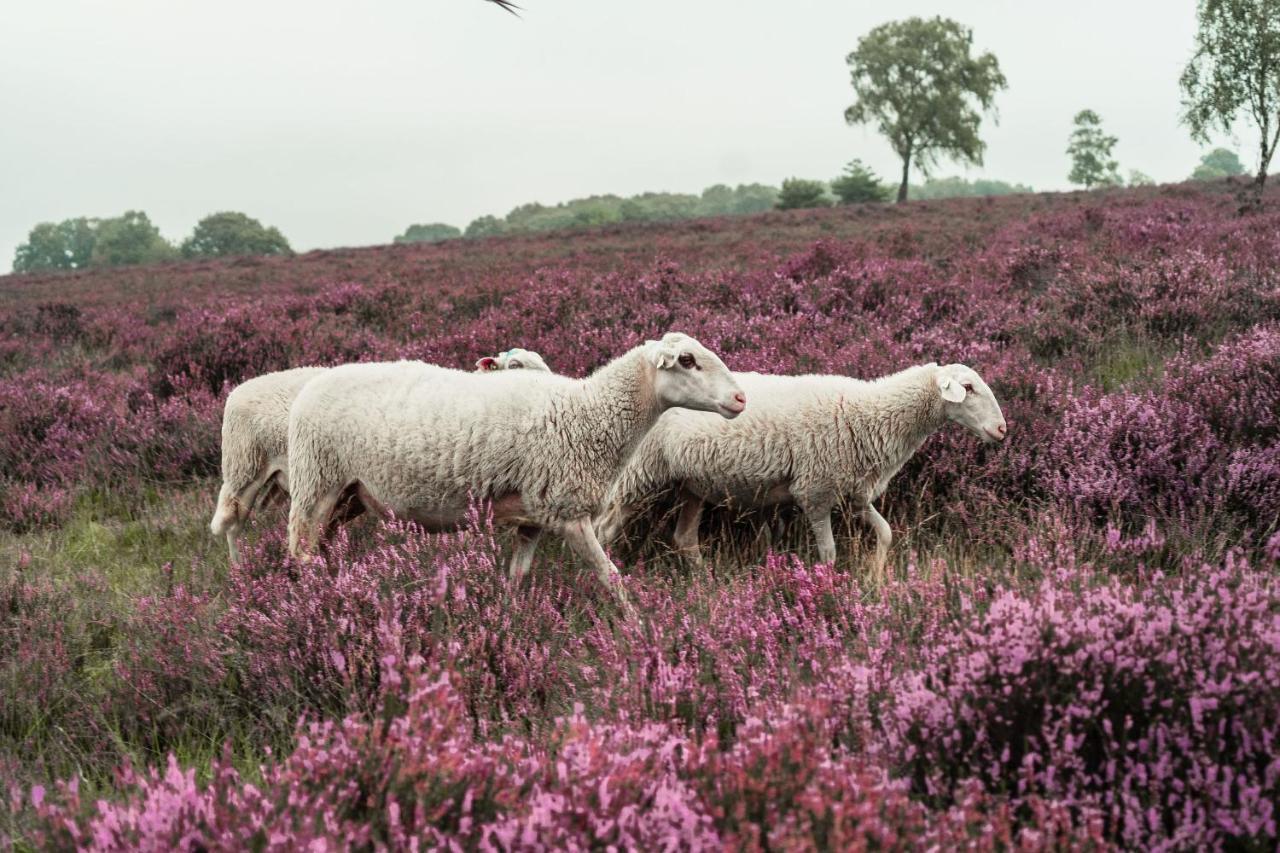 Veluwe Hotel De Beyaerd Hulshorst ภายนอก รูปภาพ