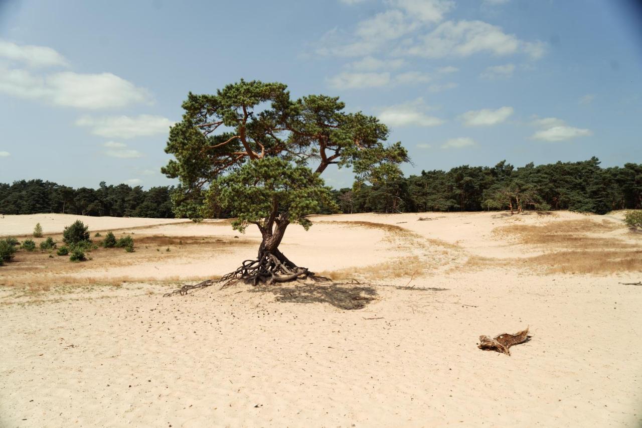 Veluwe Hotel De Beyaerd Hulshorst ภายนอก รูปภาพ